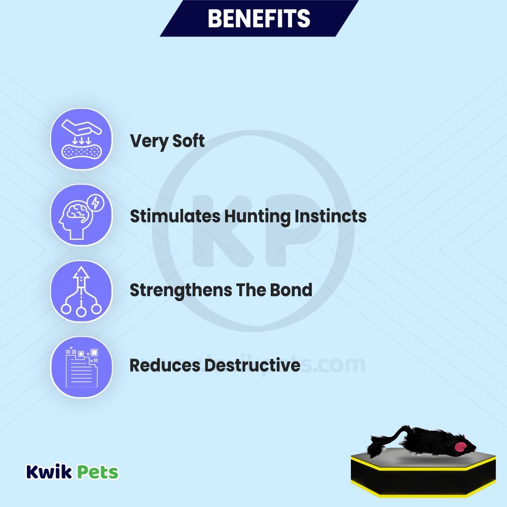 Spot Shaggy Plush Ferret Rattle & Catnip Cat Toy Black Large 11-in