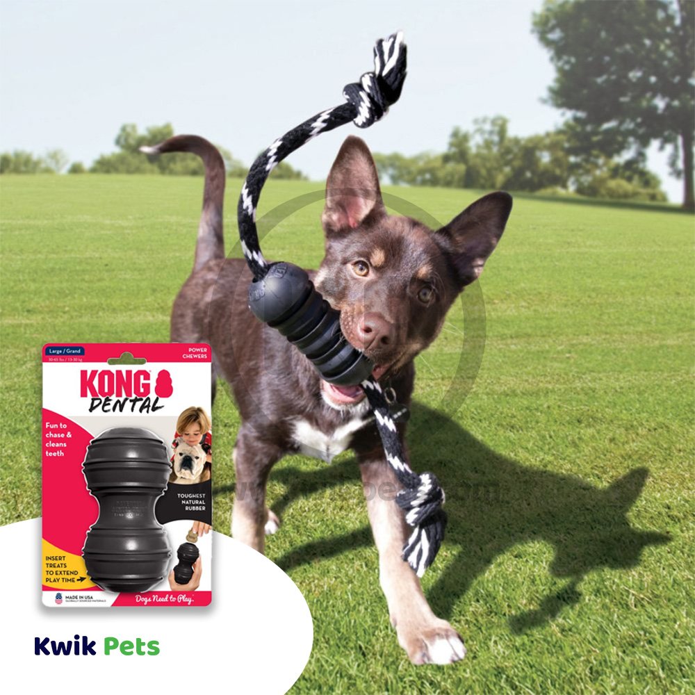 KONG Extreme Dental Dog Toy Large