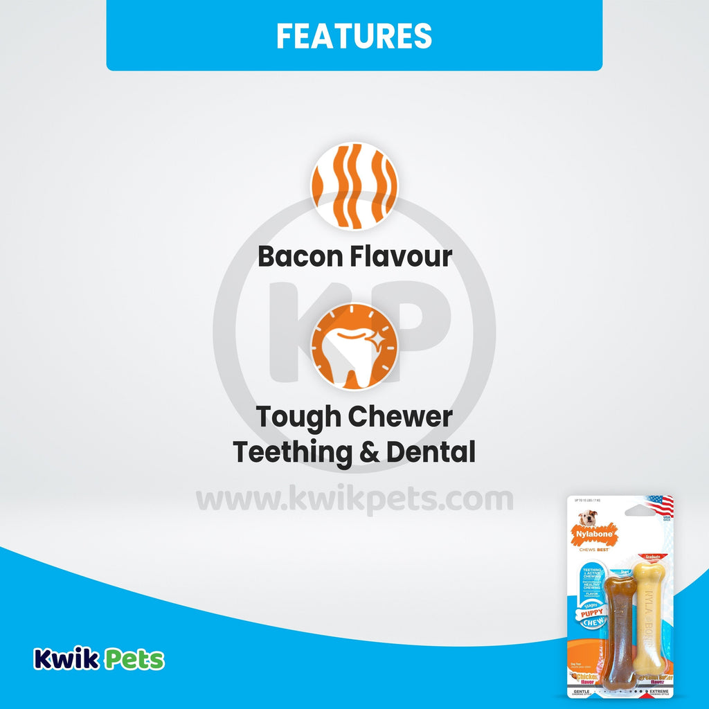 Nylabone Classic Puppy Chew Chicken & Peanut Butter Flavor Durable Dog Toy XS/Petite - Up To 15 lbs 2 Count