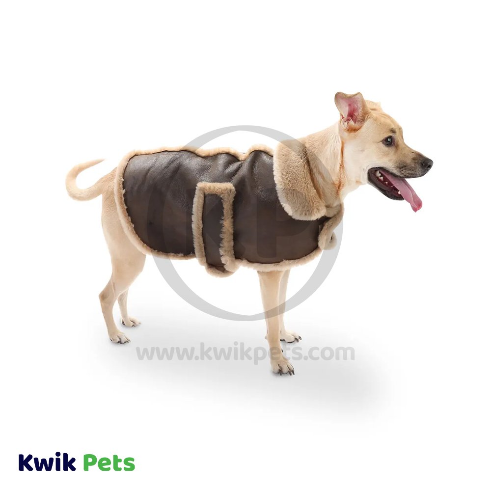 Fashion Pet Bomber Jacket Brown Medium