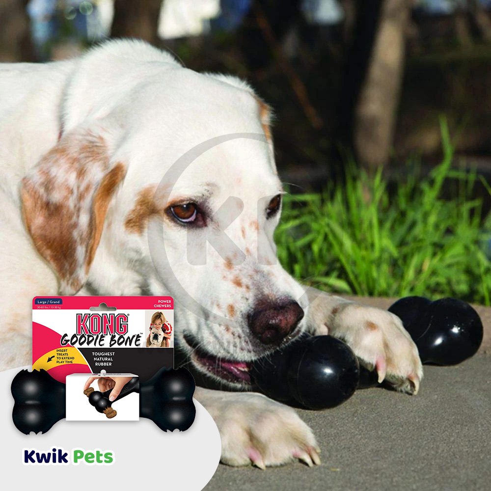 KONG Extreme Goodie Bone Dog Toy Medium