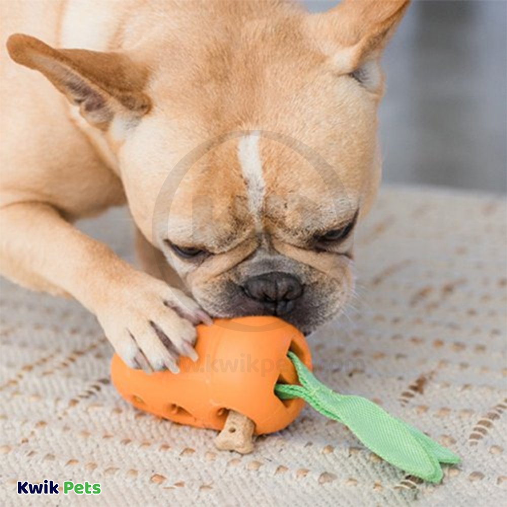 Petstages Carrot Stuffer Treat-Dispensing Interactive Dog Toy