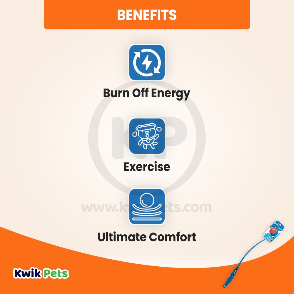 Chuckit! Sport Launcher Dog Toy Assorted Medium 25-in