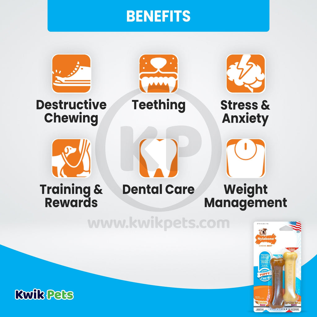 Nylabone Classic Puppy Chew Chicken & Peanut Butter Flavor Durable Dog Toy XS/Petite - Up To 15 lbs 2 Count