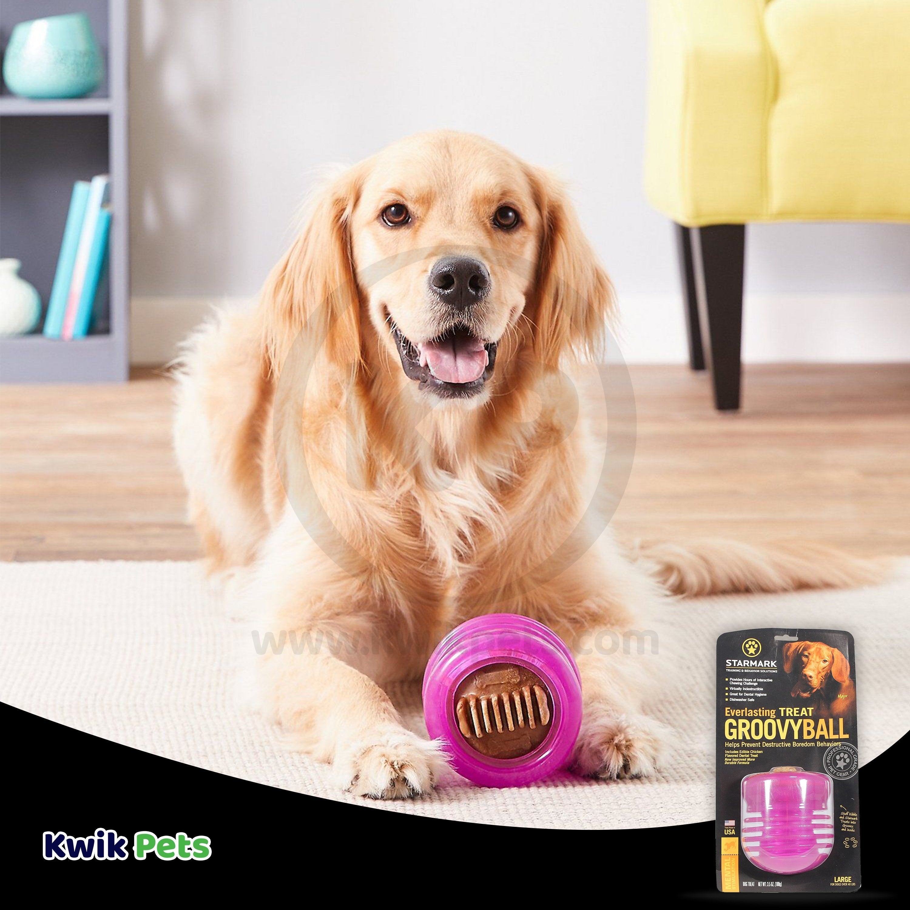 Starmark Everlasting Dog Treat Groovy Ball Chew Toy Large 3.5-oz