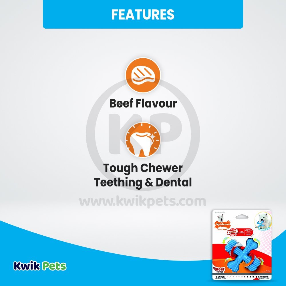 Nylabone Comfort Hold X Bone Power Chew Durable Dog Toy Beef Small/Regular - Up To 25 Ibs