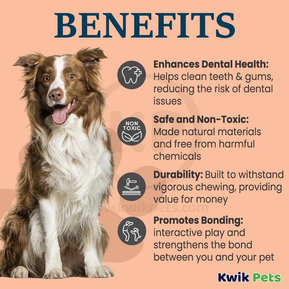 Earth Rated Natural Rubber Dog Chew & Enrichment Toy Green Small