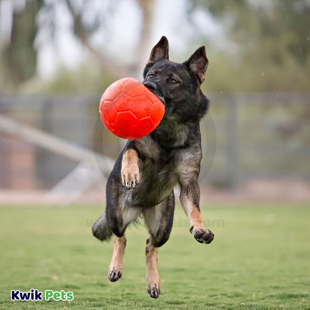 Jolly Pet Soccer Ball Boxed Dog Toy Orange Large 8-in