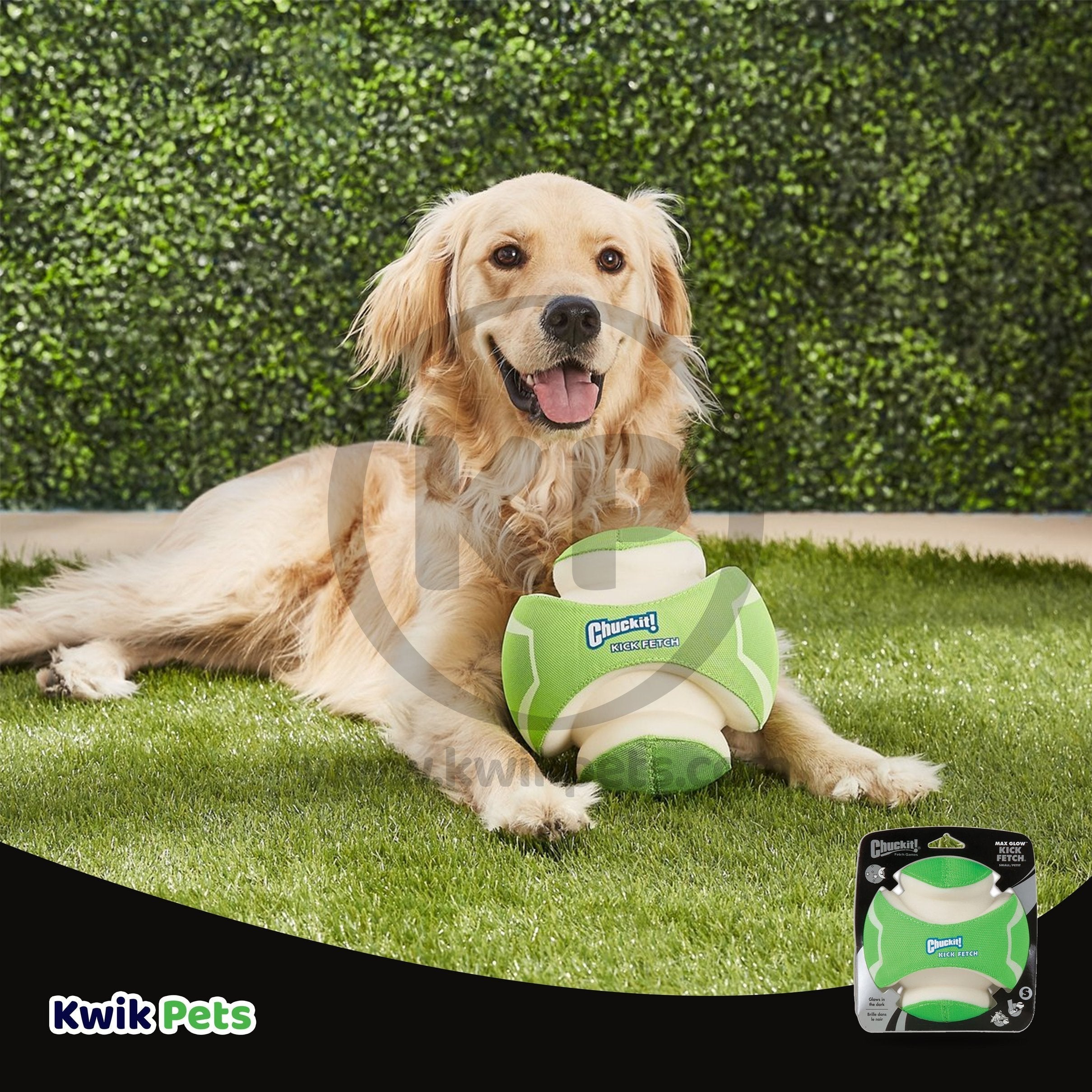 Chuckit! Kick Fetch Max Glow Dog Toy Green/White Large