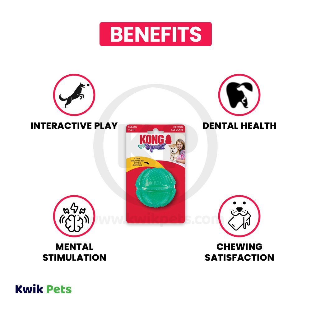 KONG Dental Squeezz Ball Dog Chew Toy Teal Medium