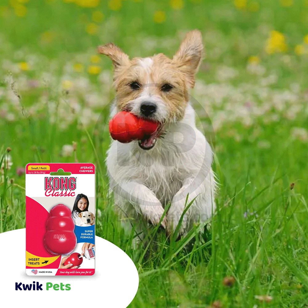 KONG Classic Dog Toy Small