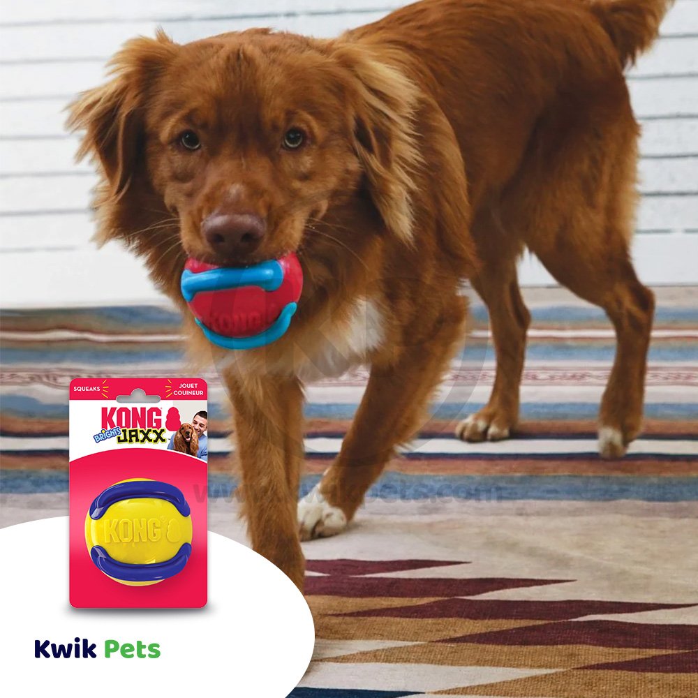 KONG Jaxx Brights Ball Dog Toy Red/Blue Medium