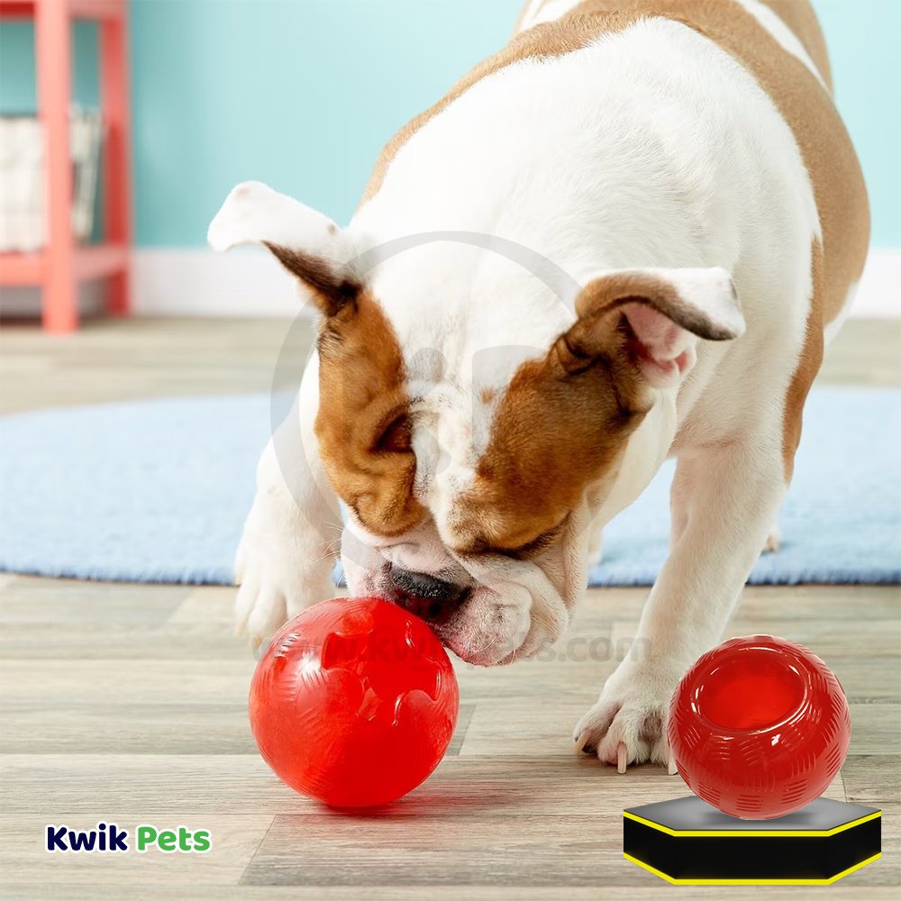 Spot Play Strong Ball Dog Toy Large 3.75-in