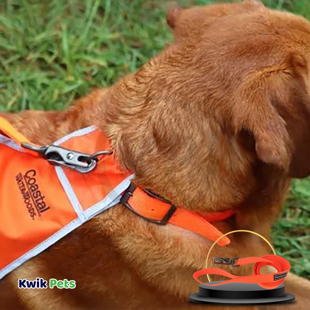 Coastal Water & Woods Dog Leash Safety Orange 6 ft