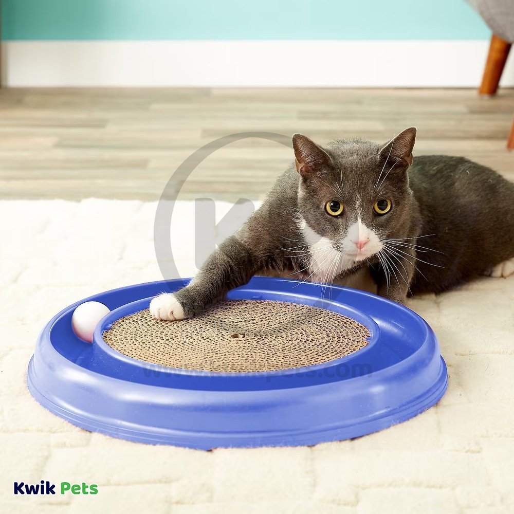 Bergan Turbo Scratcher Cat Toy Assorted