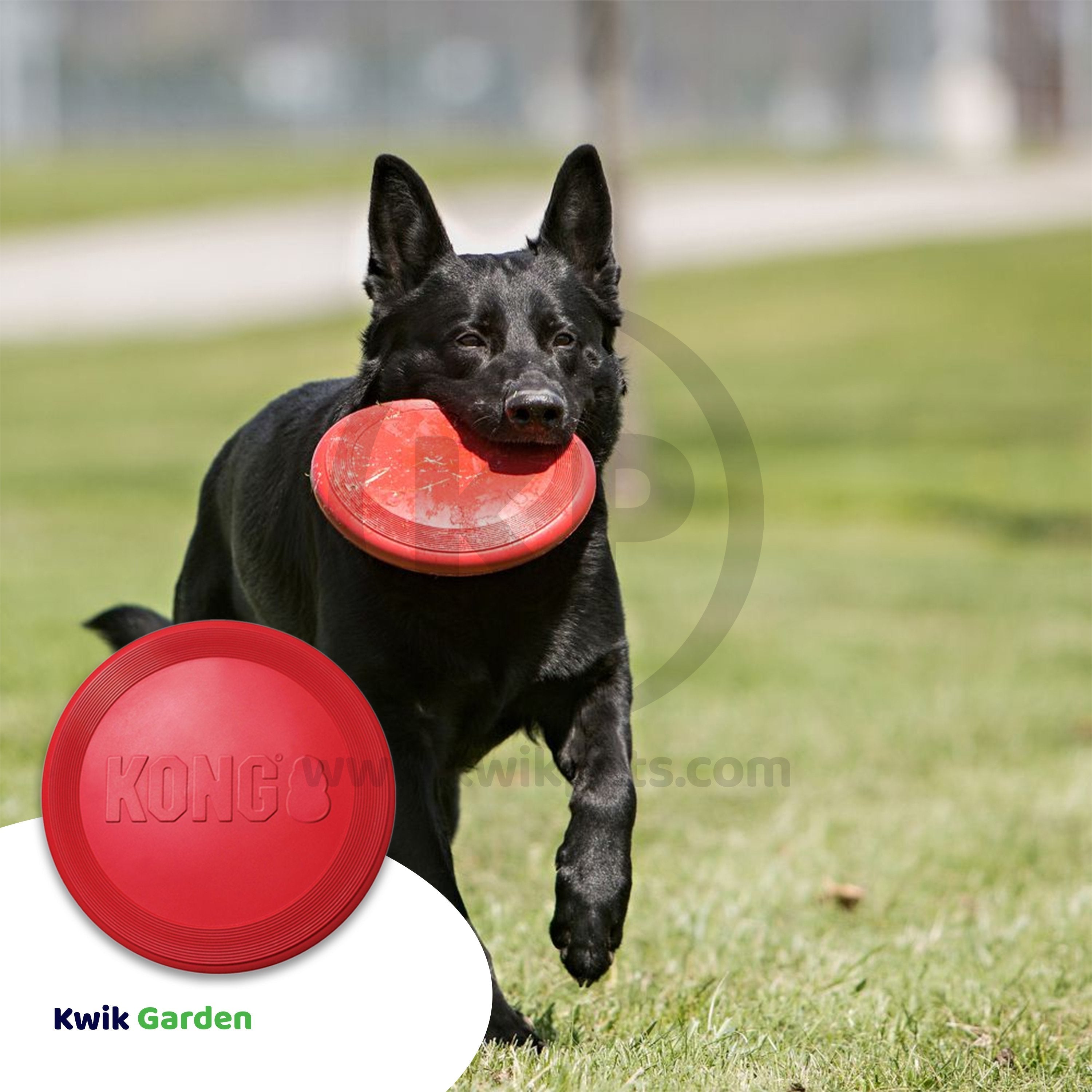 KONG Flyer Dog Toy Red Large