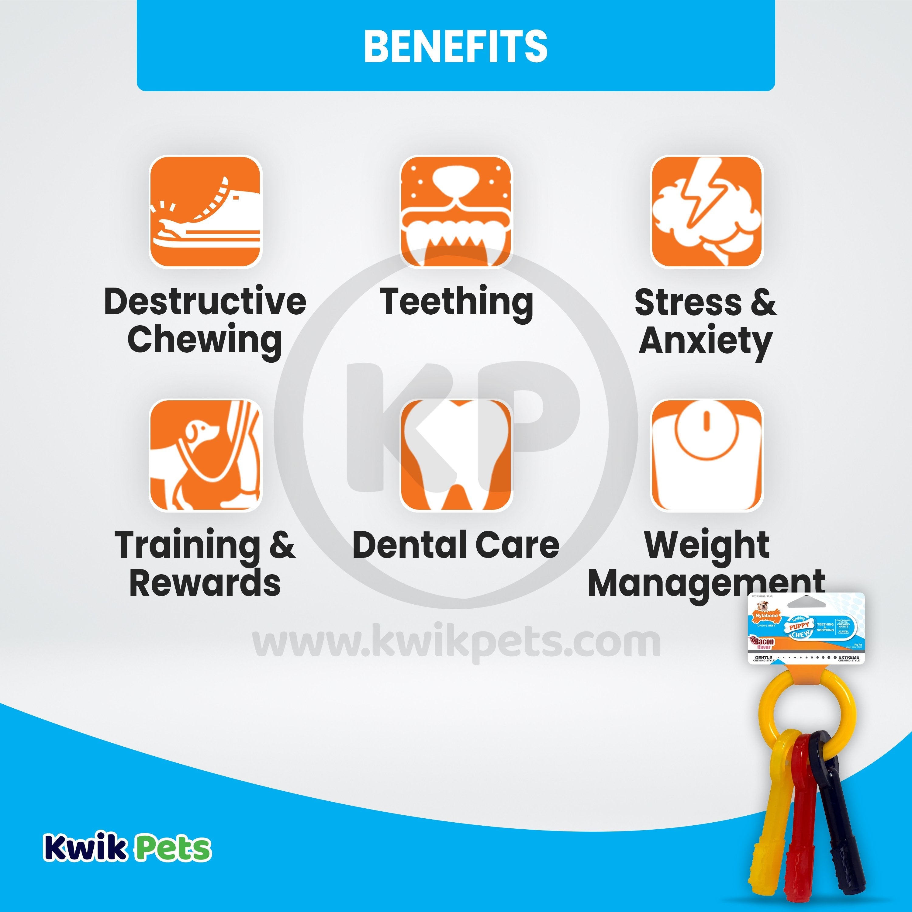 Nylabone Just for Puppies Teething Chew Toy Keys Bacon Medium/Wolf - Up To 35 lbs