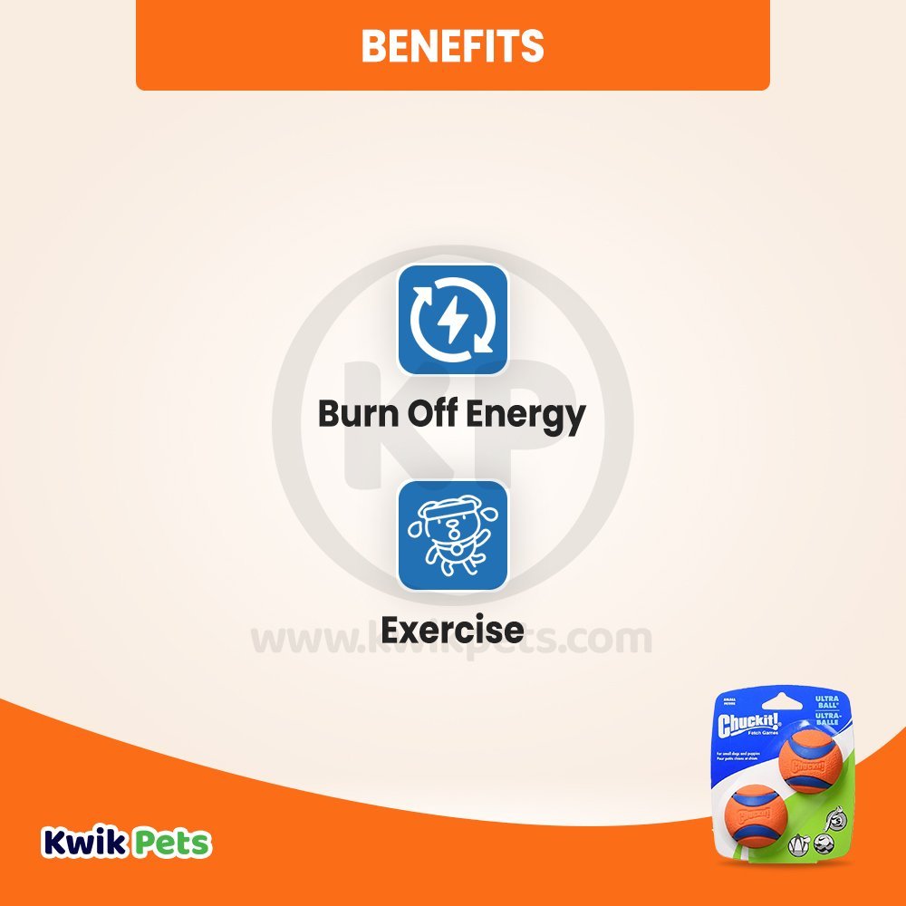 Chuckit! Ultra Ball Dog Toy Blue/Orange Small 2 Count