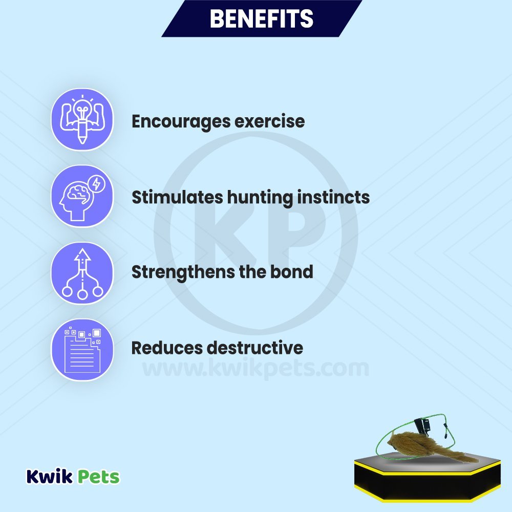 Spot A-Door-Able Bouncing Mouse Rattle & Catnip Cat Toy Assorted