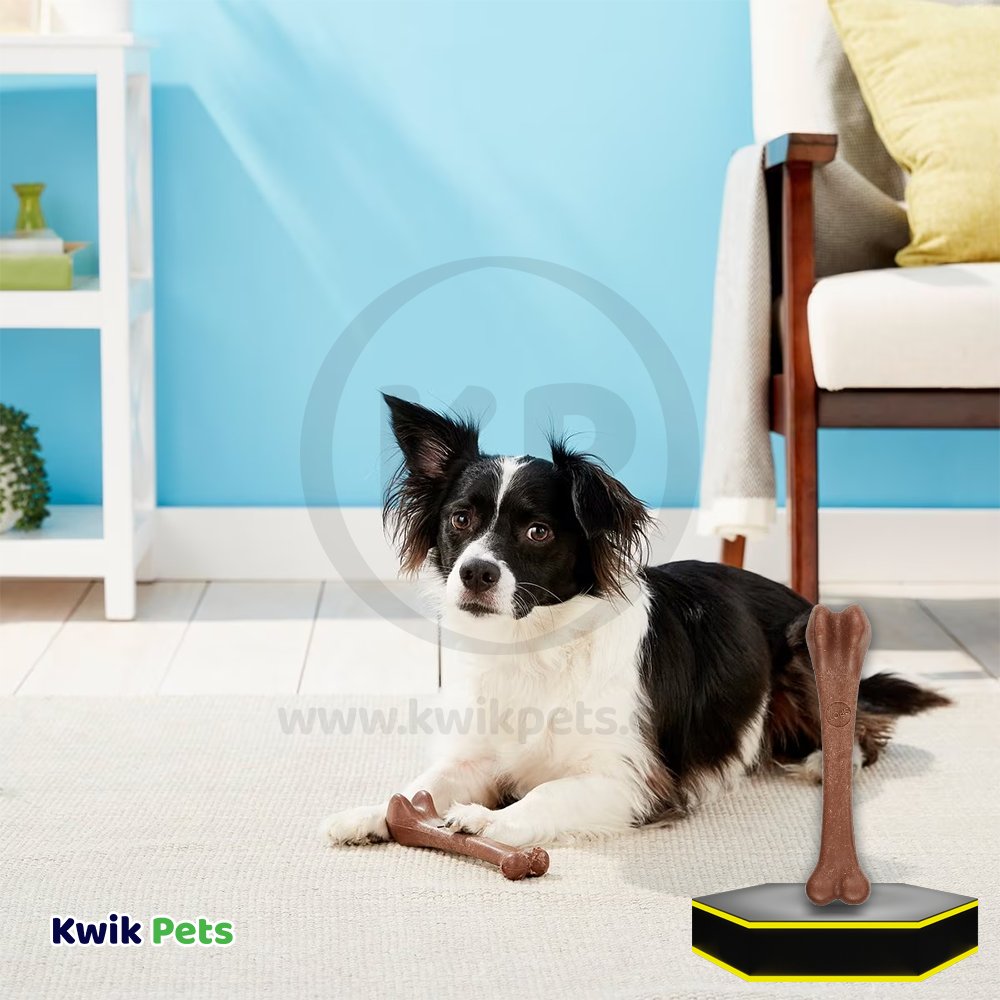 Spot Bam-Bones Bacon Bone Dog Chew Large Toy 7.25-in