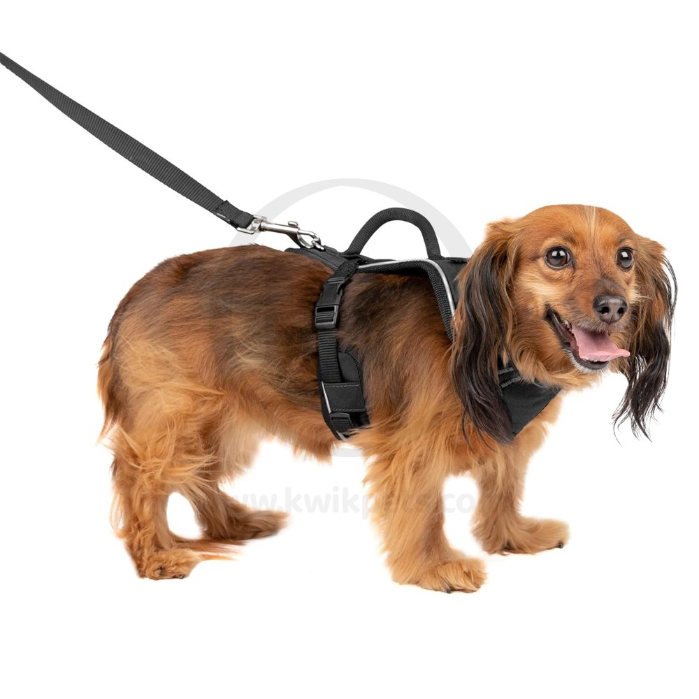 EasySport Comfortable Dog Harness Black XS