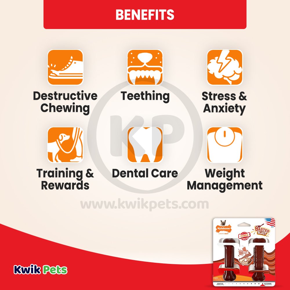 Nylabone Power Chew Basted Blast Dual Flavored Dog Toys Bacon & Steak XS/Petite - Up To 15 lbs 2 Count