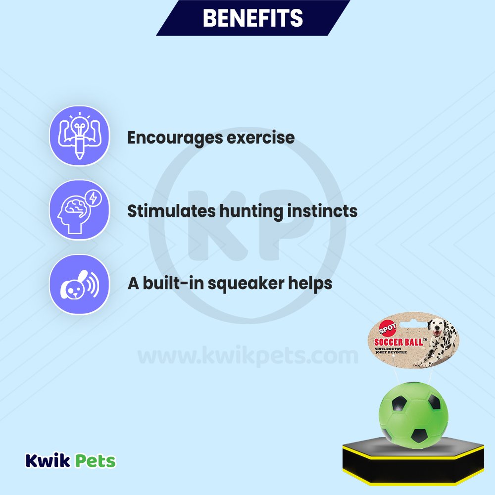 Spot Soccer Ball Dog Toy Assorted 3-in