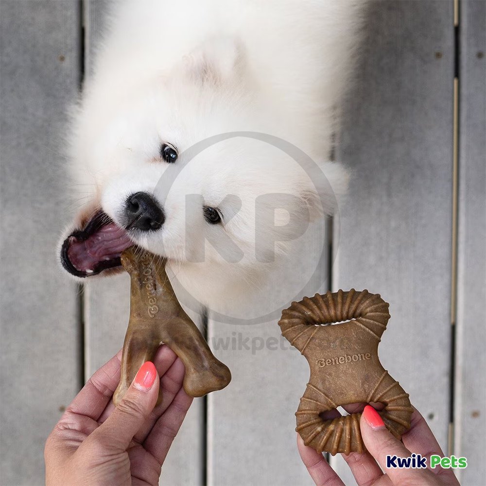 Benebone Dental Chew & Wishbone Dog Chew Toy Bacon Tiny 2 Count