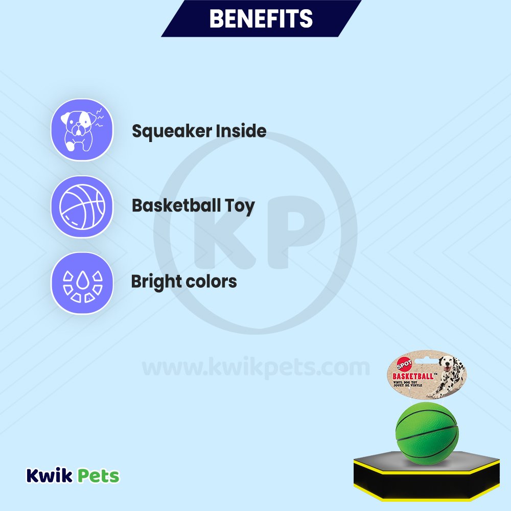 Spot Basketball Dog Toy Assorted 3-in