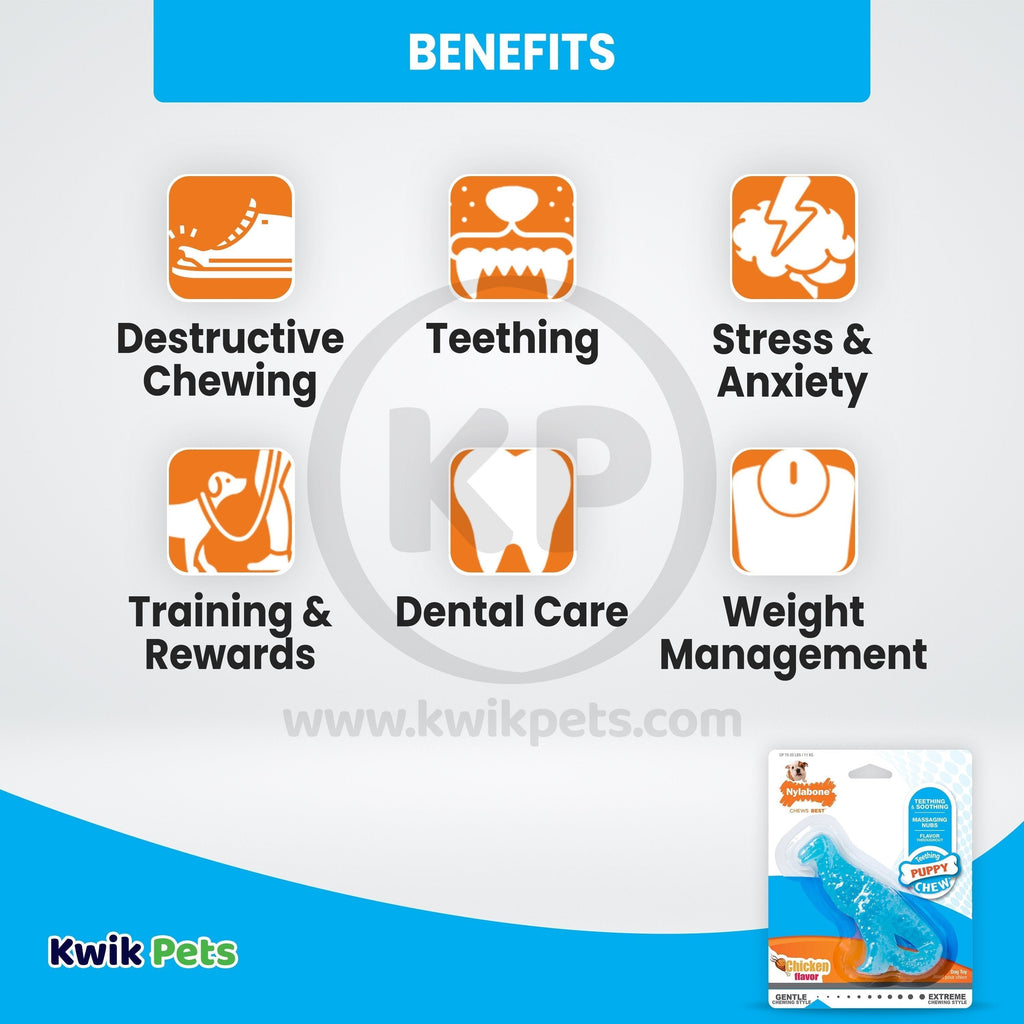 Nylabone Puppy Chew Dental Dinosaur Toy for Teething Chicken Flavor Small/Regular - Up To 25 Ibs