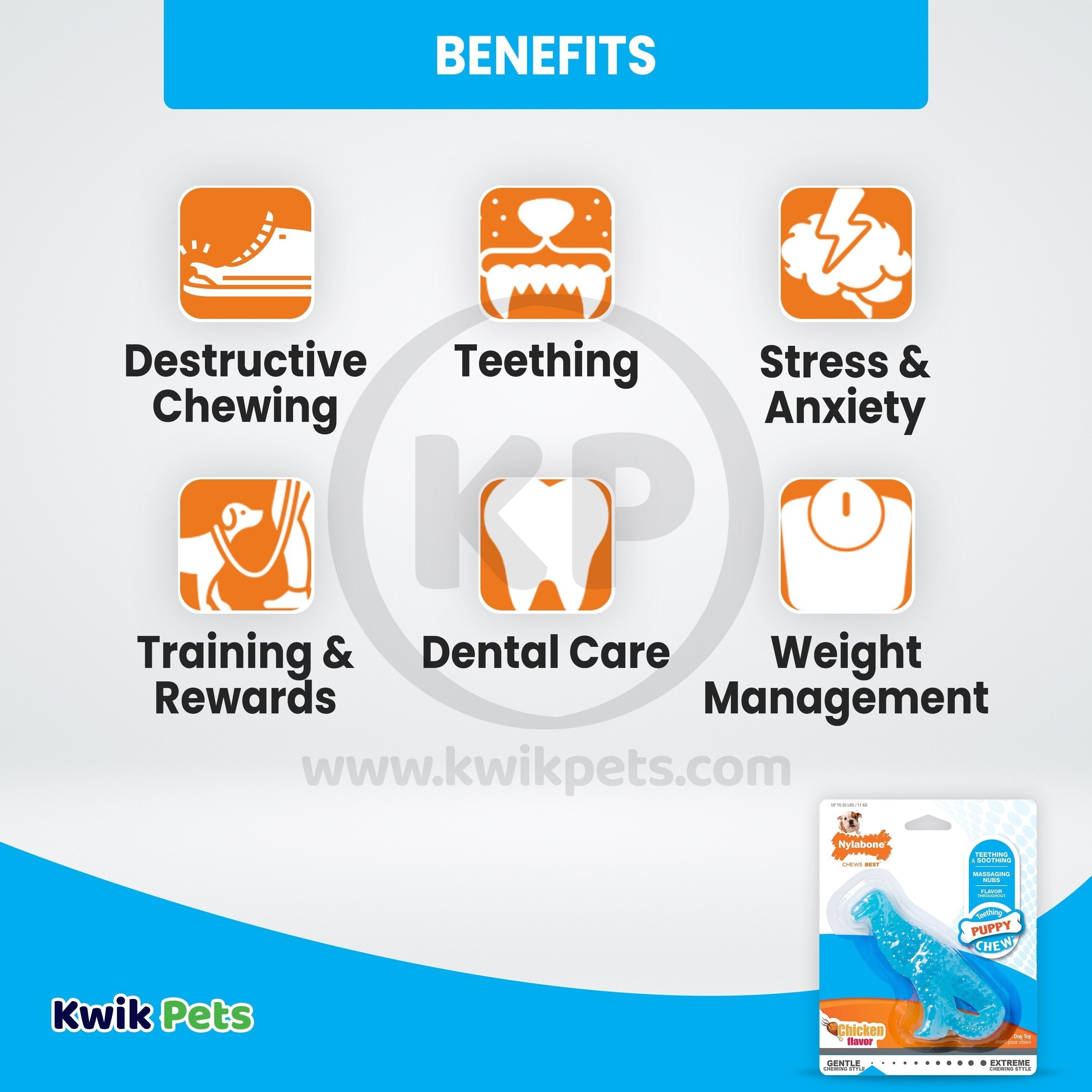 Nylabone Puppy Chew Dental Dinosaur Toy for Teething Chicken Flavor Small/Regular - Up To 25 Ibs