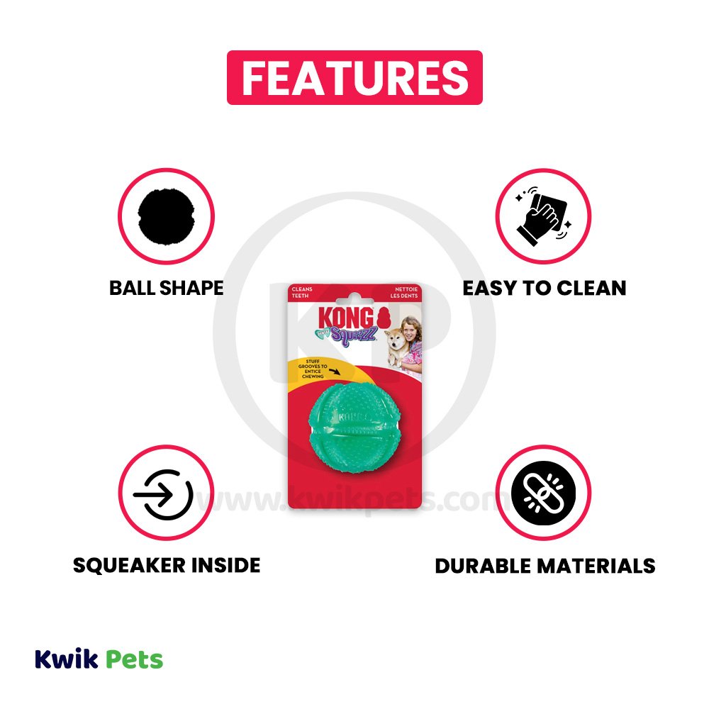 KONG Dental Squeezz Ball Dog Chew Toy Teal Medium