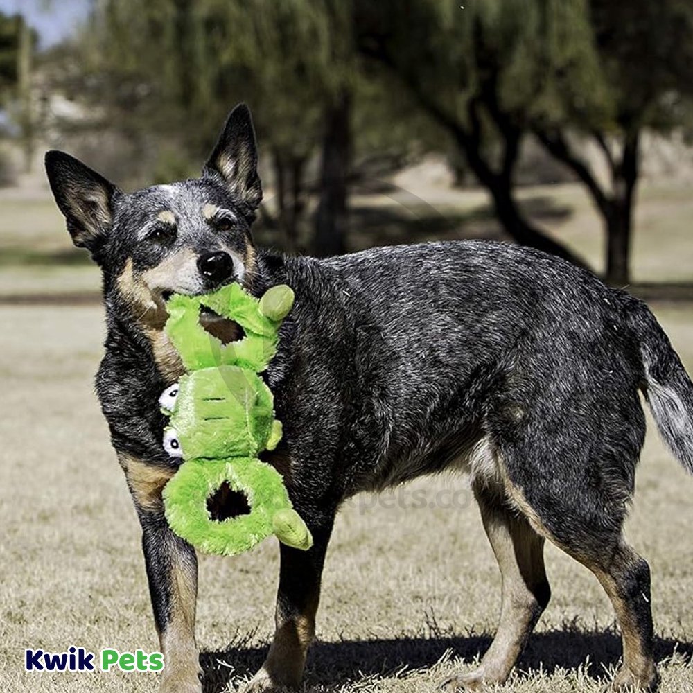 Jolly Pet Tug-a-Mals Frog Dog Toy Green Small 3-in