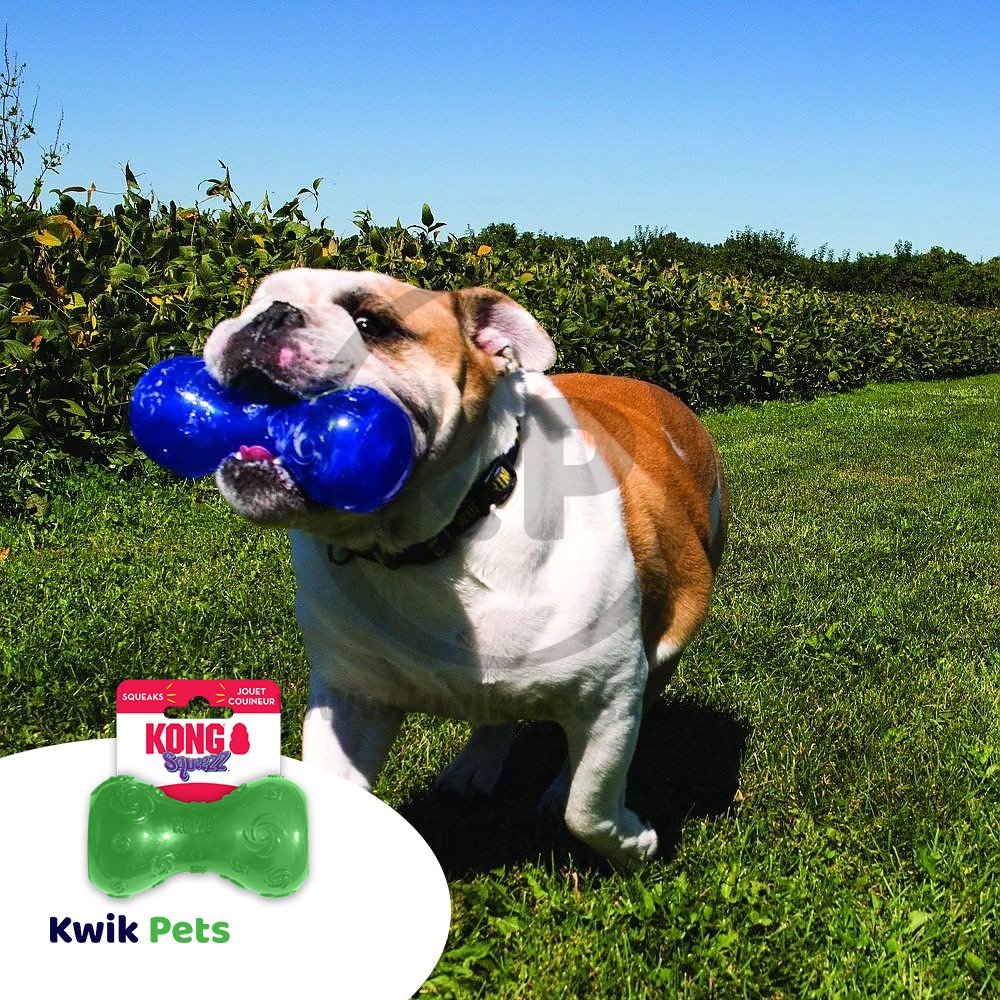 KONG Squeezz Dumbbell Dog Toy Assorted Small
