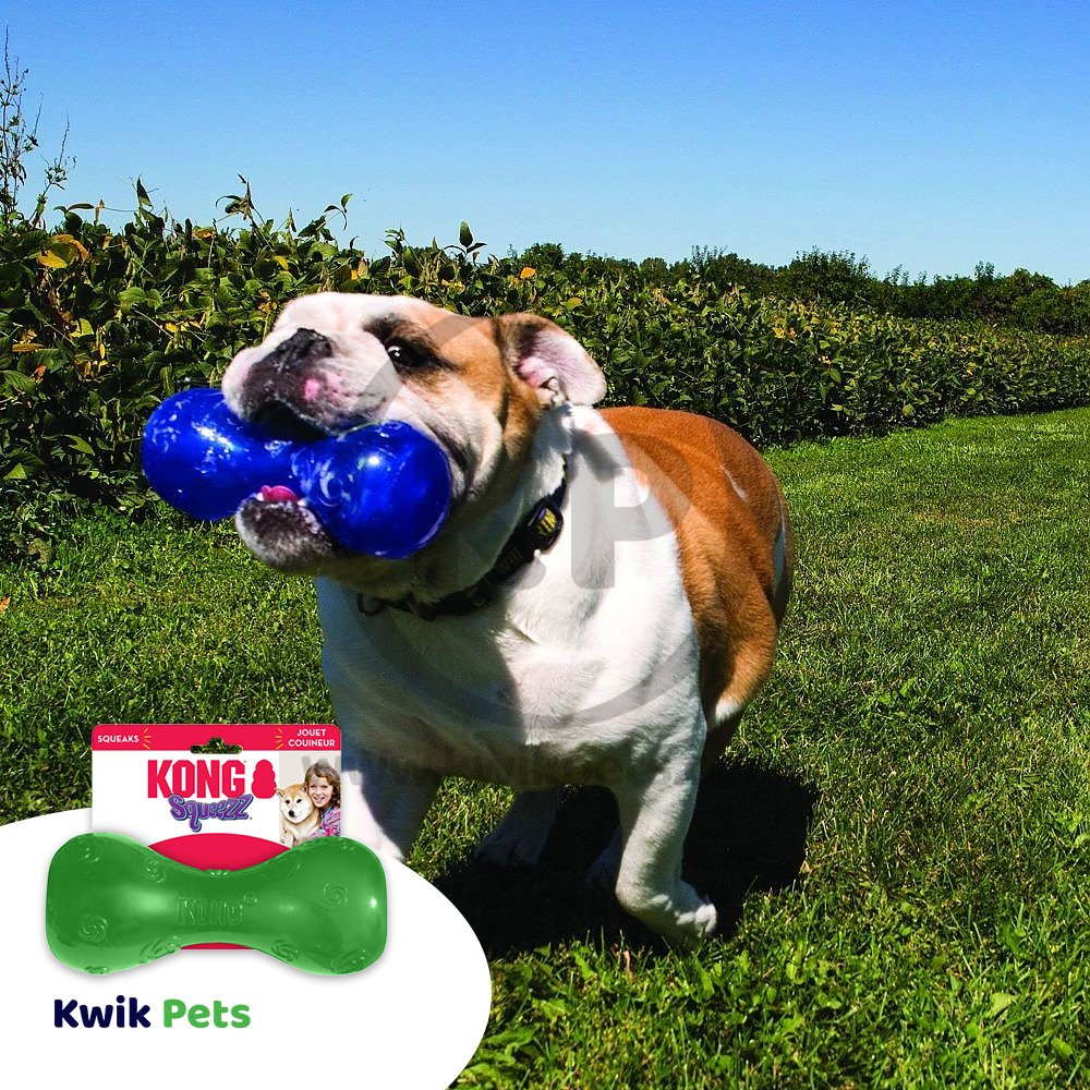 KONG Squeezz Dumbbell Dog Toy Assorted Large