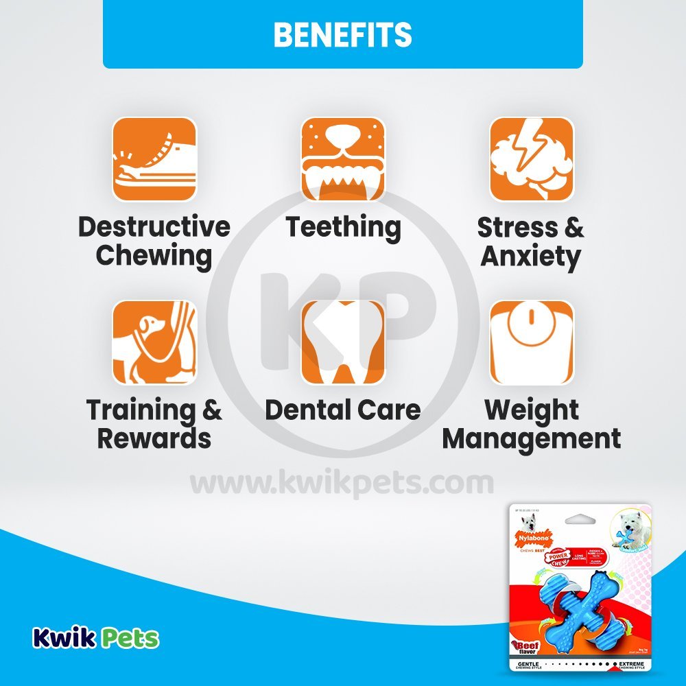 Nylabone Comfort Hold X Bone Power Chew Durable Dog Toy Beef Small/Regular - Up To 25 Ibs