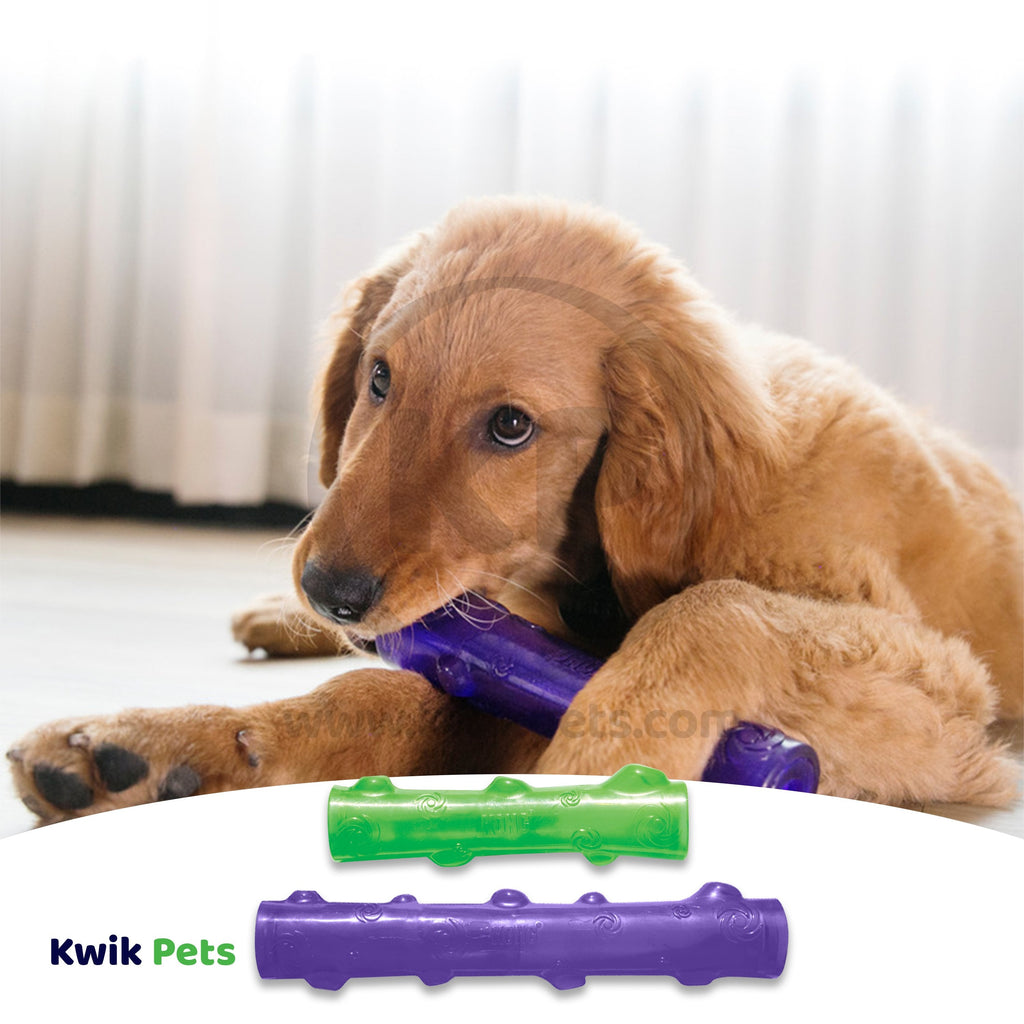 KONG Squeezz Stick Dog Toy Assorted Medium