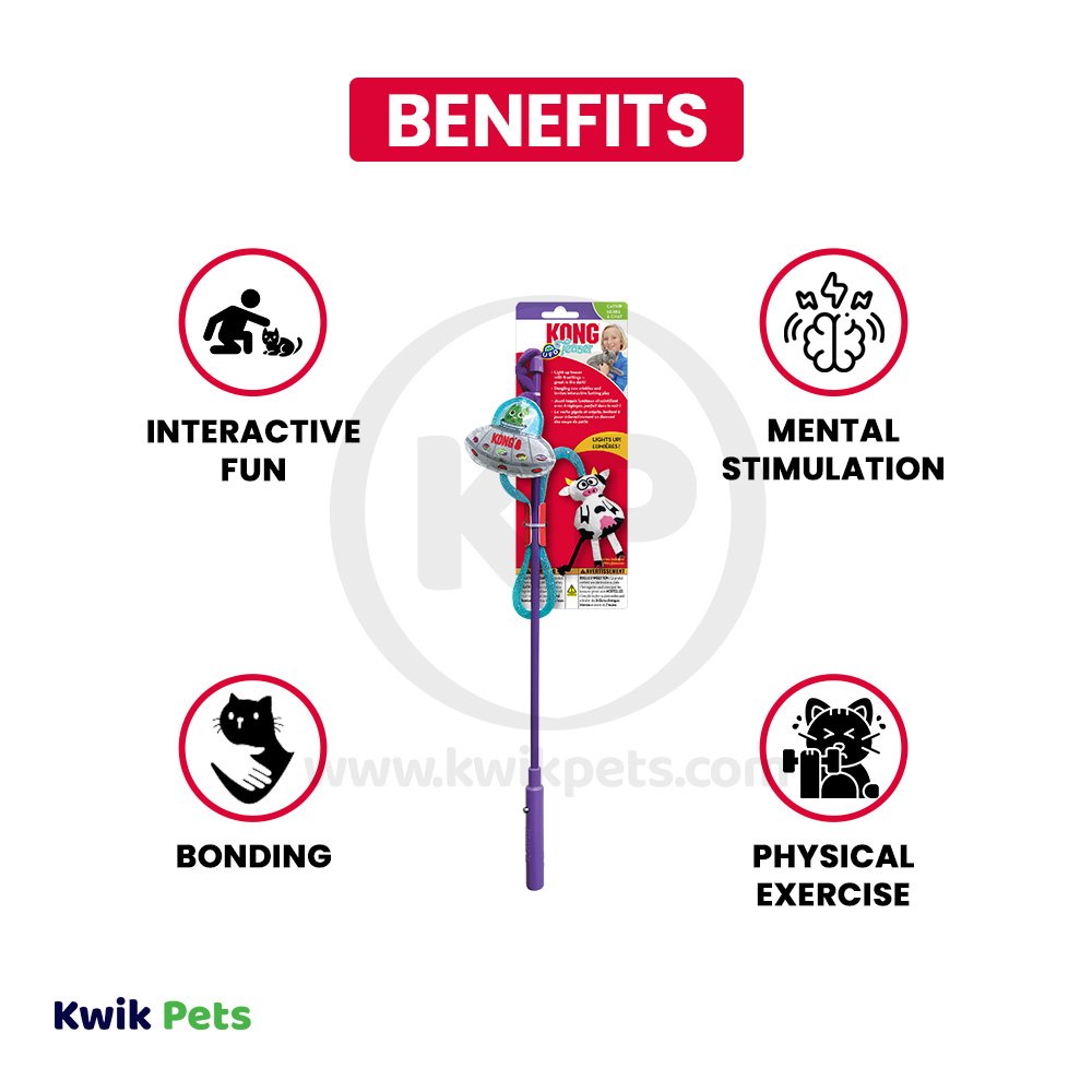 KONG Teaser UFO Cat Toy One Size
