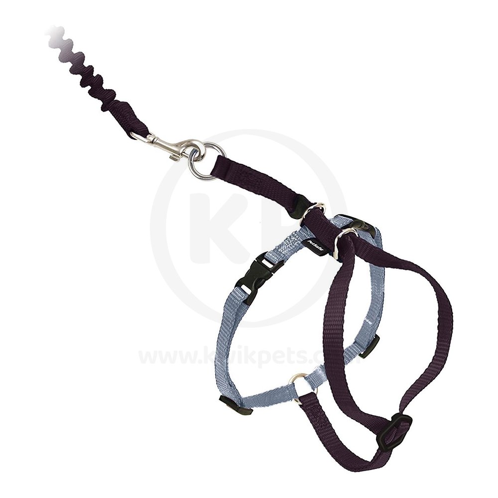 PetSafe Premier Come With Me Kitty Harness & Bungee Leash Combo Black/Silver Large