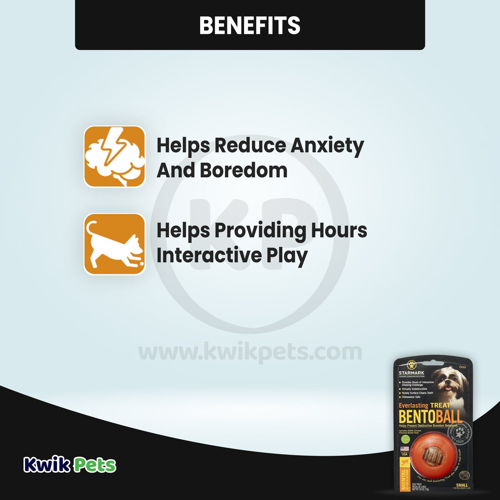 Starmark Bento Ball Dog Toy Orange Small