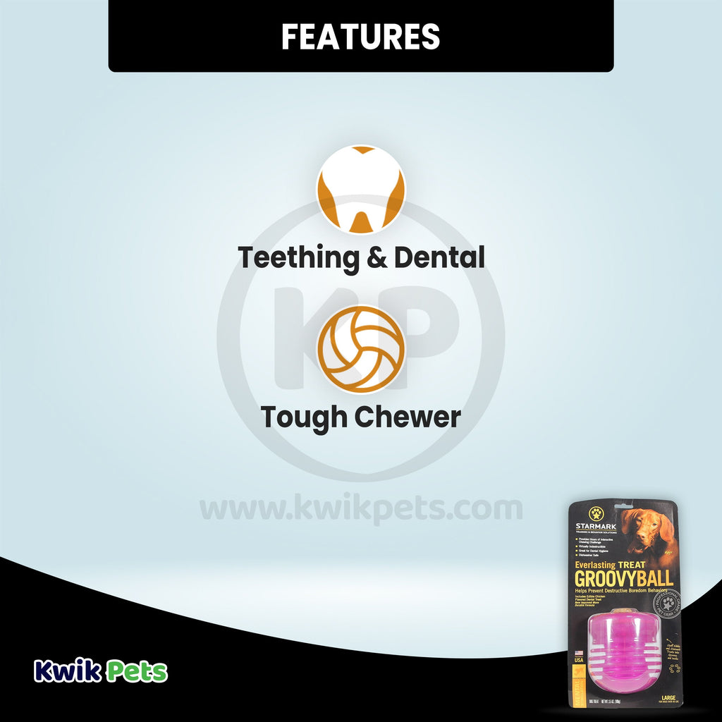 Starmark Everlasting Dog Treat Groovy Ball Chew Toy Large 3.5-oz