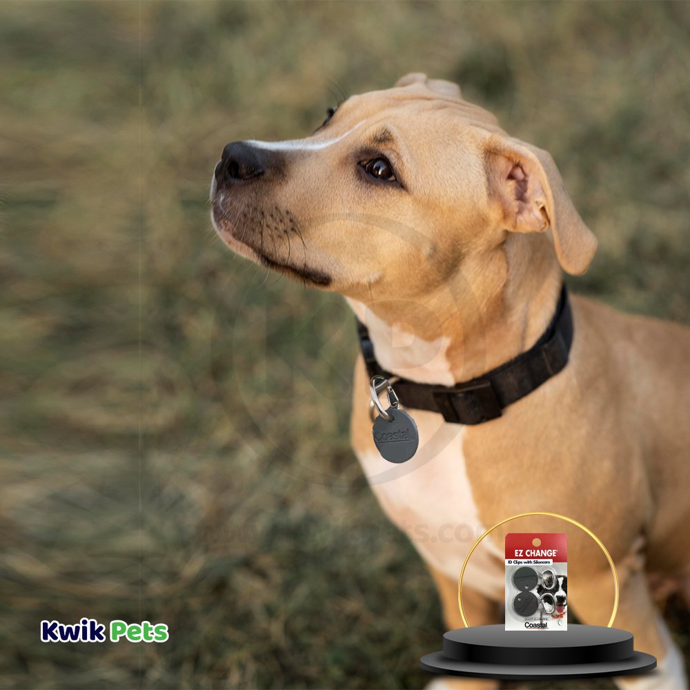 Coastal EZ Change Dog ID Clip with Silencer