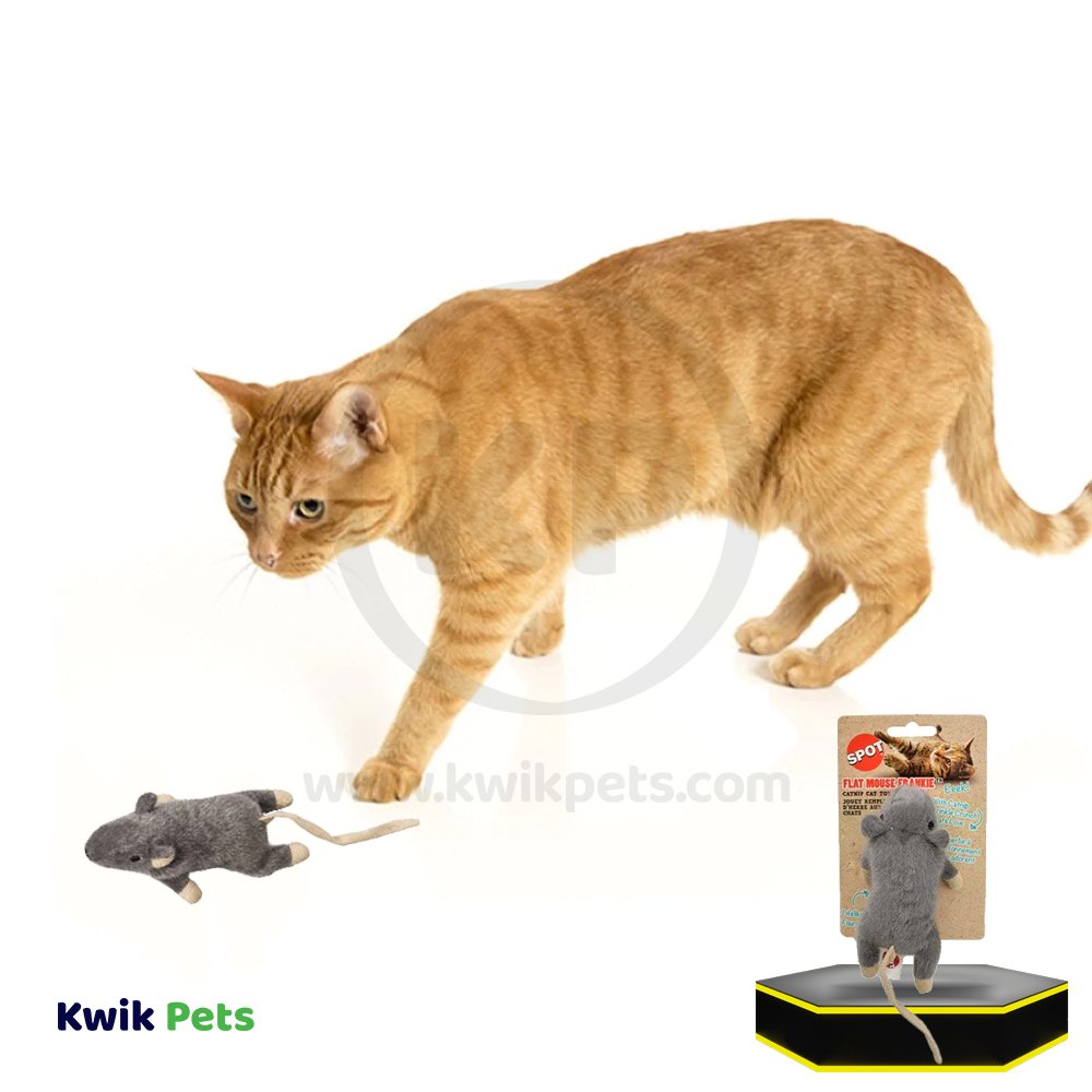 Spot Flat Mouse Frankie Cat Toy with Catnip Assorted 5.5-in