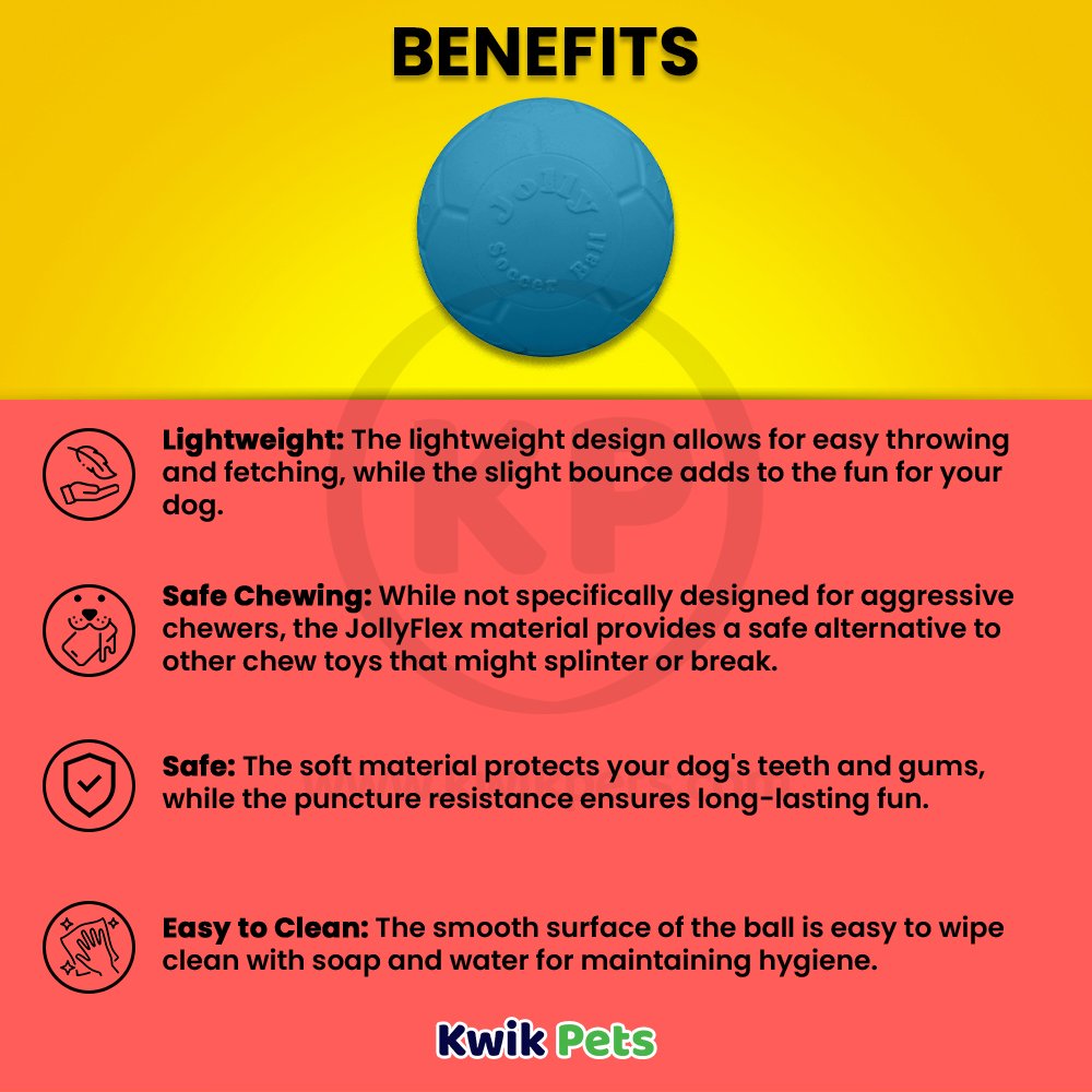 Jolly Pet Soccer Ball Boxed Dog Toy Blue Small 5.5-in