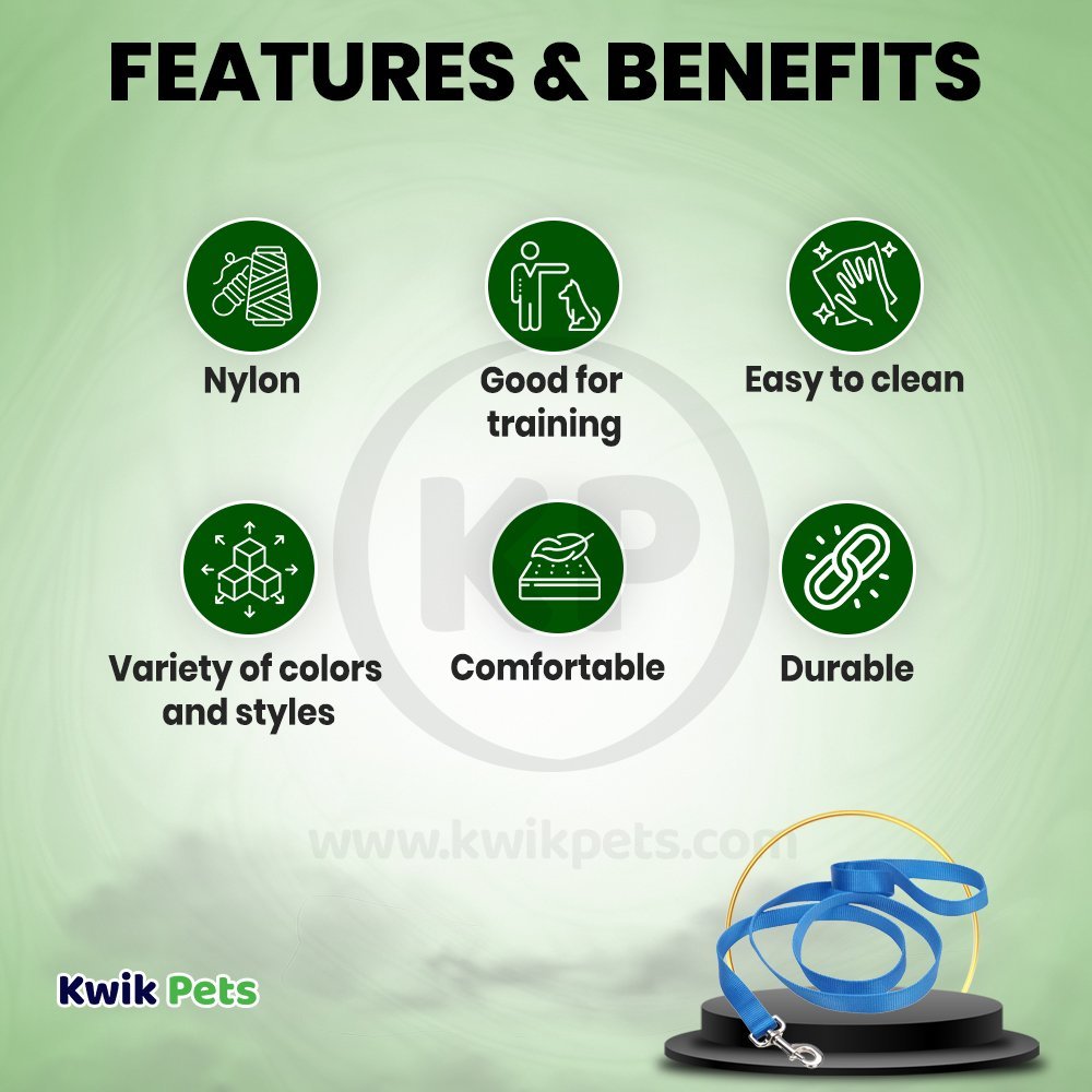 Coastal Single-Ply Nylon Dog Leash Blue Lagoon 5/8 in X 6 ft