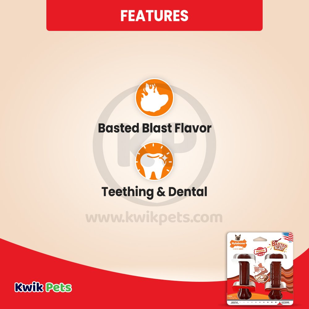 Nylabone Power Chew Basted Blast Dual Flavored Dog Toys Bacon & Steak XS/Petite - Up To 15 lbs 2 Count
