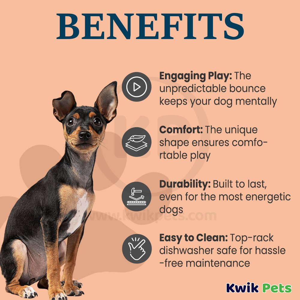 Earth Rated Natural Rubber Dog Fetch Toy Yellow Medium