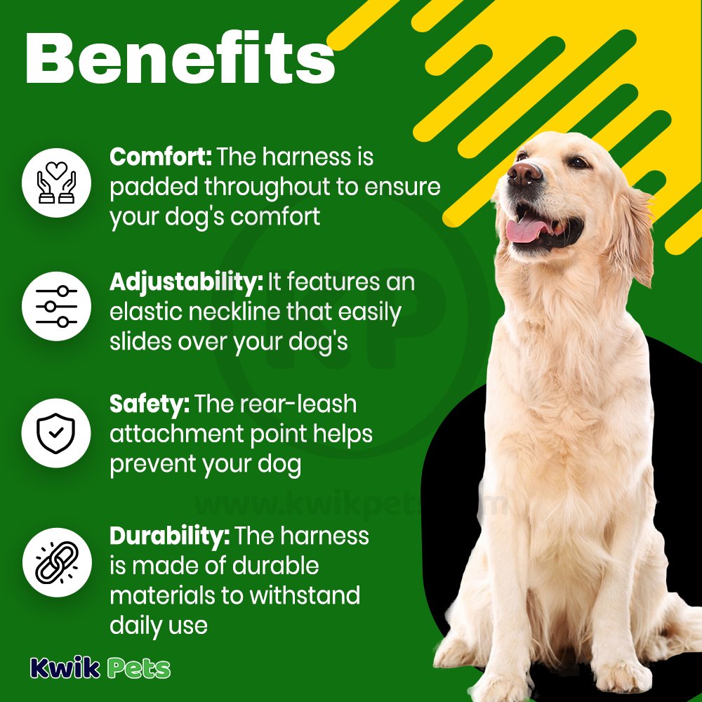 EasySport Comfortable Dog Harness Black XS