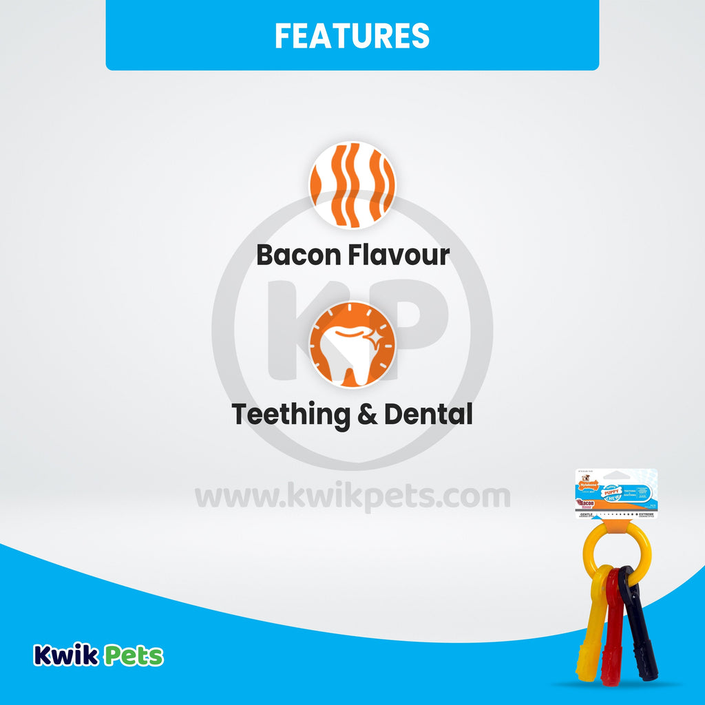 Nylabone Just for Puppies Teething Chew Toy Keys Bacon XS/Petite - Up To 15 lbs