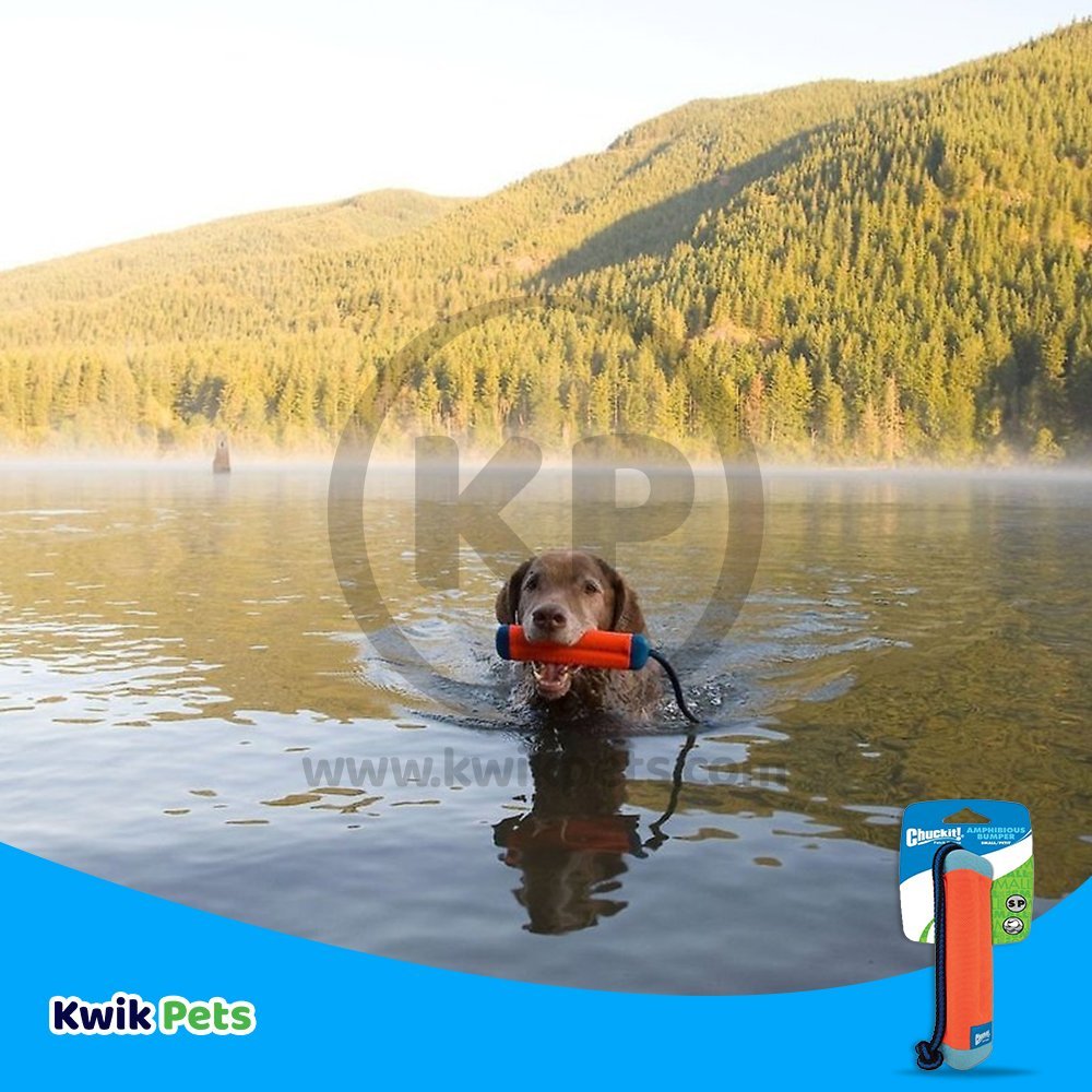 Chuckit! Amphibious Bumper Dog Toy Assorted Small